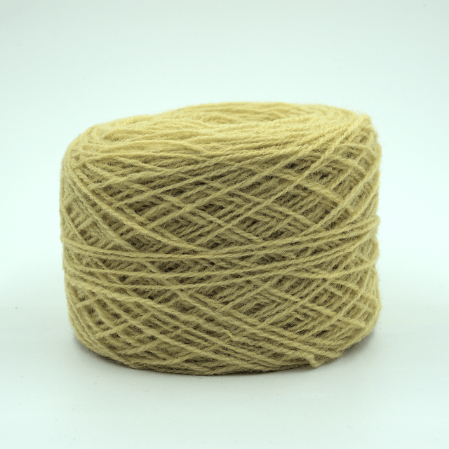 Couleur #07 - Fanes de carottes -