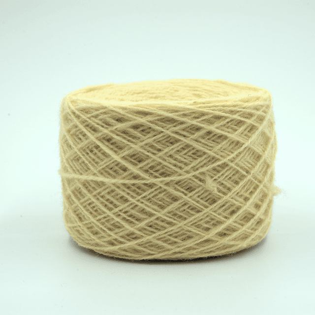 Couleur #04 - Oignon -
