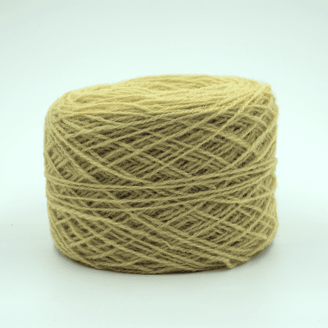 Couleur #07 - Fanes de carottes -